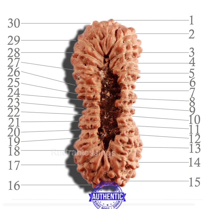 30m-mukhi_700x