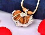 trijuti rudraksha