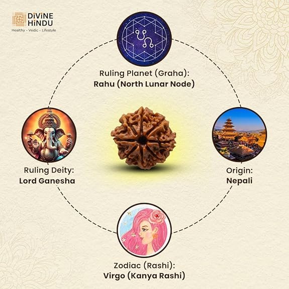 Rudraksha