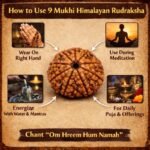 4984f6dc-d01a-4b44-bf82-f1342c2f44da-md