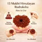 04d74f0f-a162-4e47-982c-cede5ec2e450-md