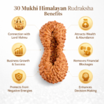 fac12310-edaa-47bc-b7de-d6eae898dc18-md