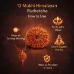 b3167158-5c7d-4100-9fbe-9388e8e3fa34-md