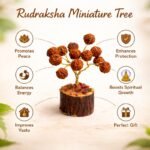 0fb74e9c-84f7-4def-bf22-ff634b54c92a-md