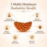 0da41f8d-f5df-41a1-9291-ab4196f9d891-md