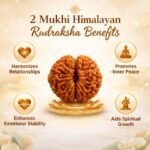 55cdb96c-a03f-4384-8f7c-afcc0ad718e7-md