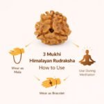 85fffc6c-3439-47a2-8e7d-45dec2e5d30b-md