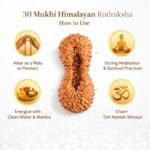 fac12310-edaa-47bc-b7de-d6eae898dc18-md