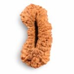 55f0ced1-fde4-4b76-a6db-29341934250a-md