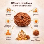 ed2e9c06-cc79-4aee-aee7-61057220383c-md