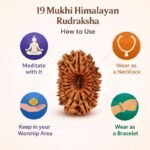 25ea3e6d-ff31-440d-815c-9fa453b28201-md