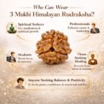 85fffc6c-3439-47a2-8e7d-45dec2e5d30b-md