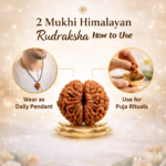 55cdb96c-a03f-4384-8f7c-afcc0ad718e7-md