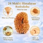 c9e4fa32-1974-43a9-8f74-b91910796f6e-md