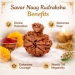 92715b01-6a93-444c-a446-fb45504dc7b5-md