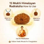 54411599-b815-41ee-b1e8-9ef75478043e-md