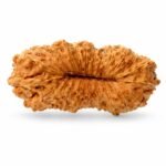 743c12ef-d68a-4c11-a2cd-d8660237b40e-md