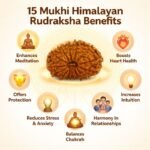 54411599-b815-41ee-b1e8-9ef75478043e-md