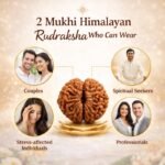 55cdb96c-a03f-4384-8f7c-afcc0ad718e7-md