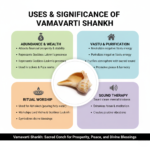 Right Hand Conch Shell