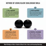 Natural Shaligram Stone for Lord Vishnu Puja