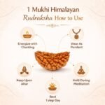 0da41f8d-f5df-41a1-9291-ab4196f9d891-md