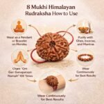 ed2e9c06-cc79-4aee-aee7-61057220383c-md