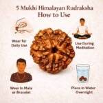 3683d7b1-c889-4ca7-a7aa-e9fa4c503333-md