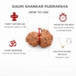 623c9401-4373-4d83-8ba3-5dd663c9c9f1-md