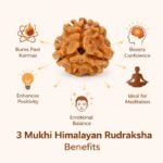 85fffc6c-3439-47a2-8e7d-45dec2e5d30b-md