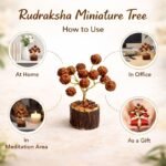 0fb74e9c-84f7-4def-bf22-ff634b54c92a-md