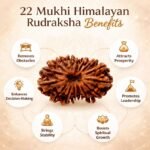 0b5c914e-5f4c-4ec1-a2d0-c76384951e64-md