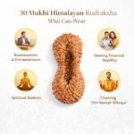 fac12310-edaa-47bc-b7de-d6eae898dc18-md