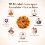 e413f05b-71eb-4d52-819c-ea393dafbea4-md