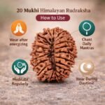 36a4e953-866a-487f-abb1-7cb92d235ef9-md