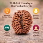 36a4e953-866a-487f-abb1-7cb92d235ef9-md